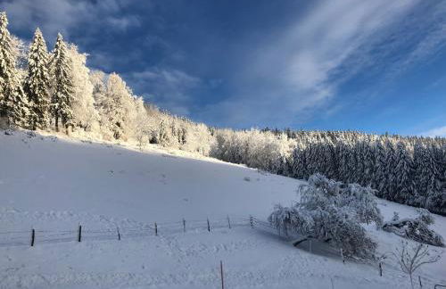 La Guillemette - Foto 3