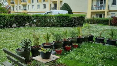 L'univers au blanc. - Photo 2, Garden view