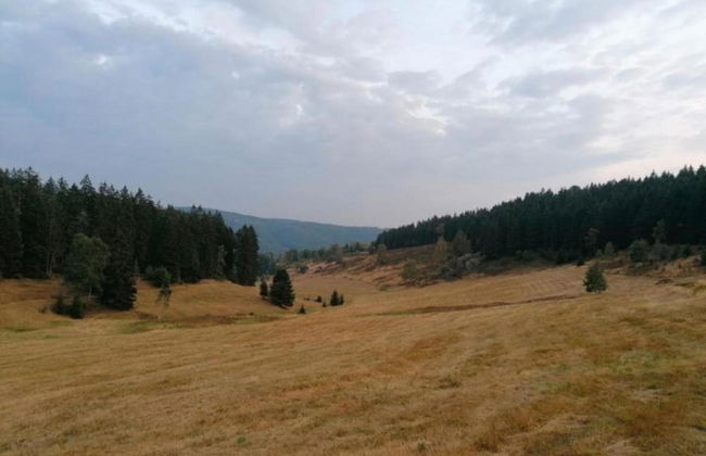 Holiday Home in Suhl Near Rennsteig Trail - Foto 34