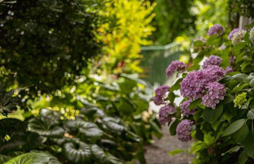 Villa Lilia - Foto 47