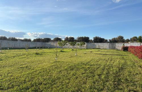 Villa Marinezzi - Foto 59