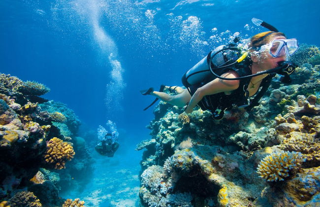 Silkari Reflections of Port Douglas - Foto 24