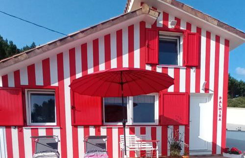 Casiña Palmira - Foto 1