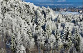 Widokowo - Domki z widokiem na Śnieżkę z Jacuzzi i Sauną - Photo 3