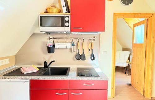 Schwarzwaldhaus Zwink - Foto 61