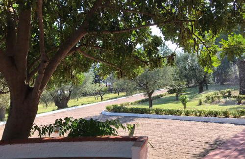 Villa Il Carrubo - Basilicata - Foto 9