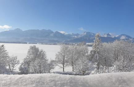 Landhaus Amberg Hopfen am See // Hopfensee // Füssen - Foto 14