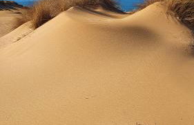 Oasi del Relax - Seaside Peaceful Panoramic Terrace in ITALY - new Sardinia apartment 50 mt beach&sea full comfort air conditioning-WiFi-Parking-Privacy - Foto 57