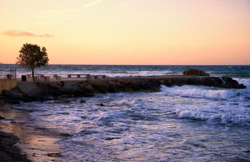 Axos Apartments - Photo 48