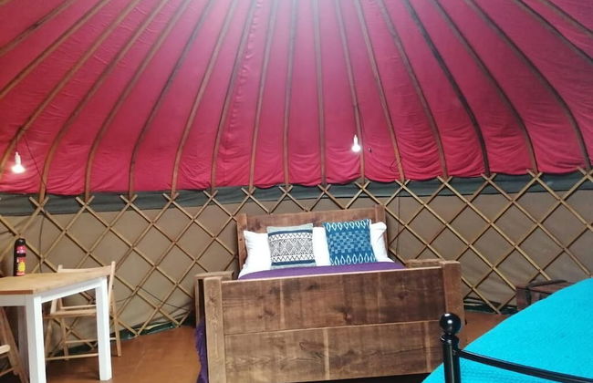 Charming Yurt in Kelburn Estate Near Largs - Photo 18