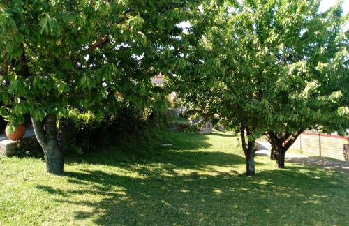 Quinta Souto Chão - Photo 23