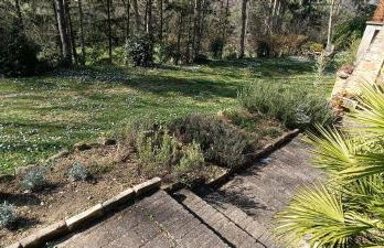 Casale La Pineta - Foto 22