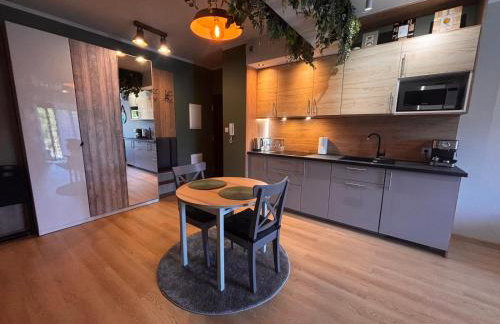 Oliwkowy - stylowy Apartament w naturalnym klimacie - Photo 78