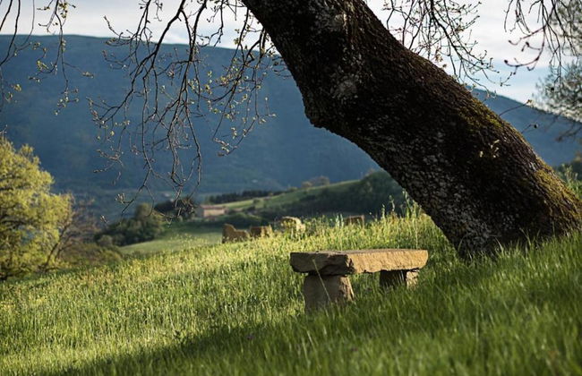 Farmhouse Near Lake Trasimeno With Pool - Foto 37