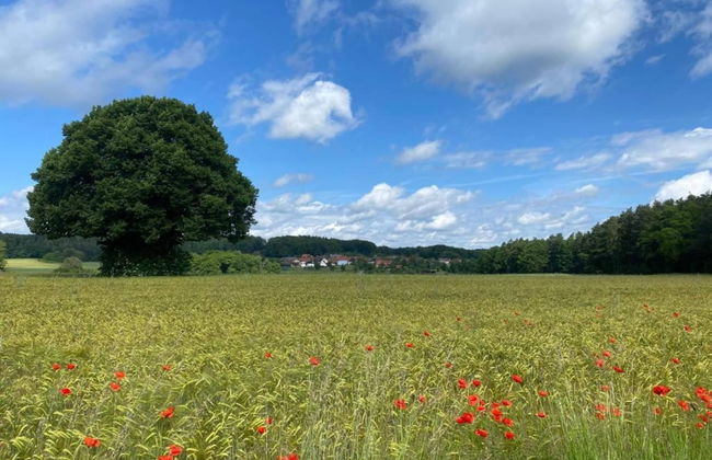 Comfort in Franconian Hills - Foto 18