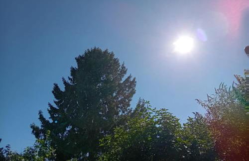 2 Exklusiv Apartments nähe Heidelberg für 1-4 Personen mit großen Terrassen - Foto 18