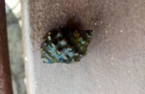 Casa Omaira y Nacho - Foto 27