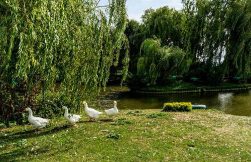 Grafton Mill - Foto 31