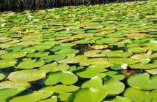 Apartman ELLA - Foto 41