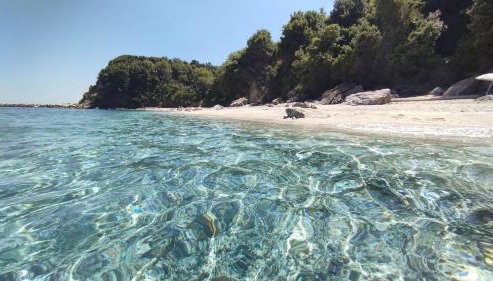 Erato's Nest - Pelion - Foto 4