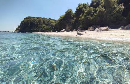 Erato's Nest - Pelion - Photo 4