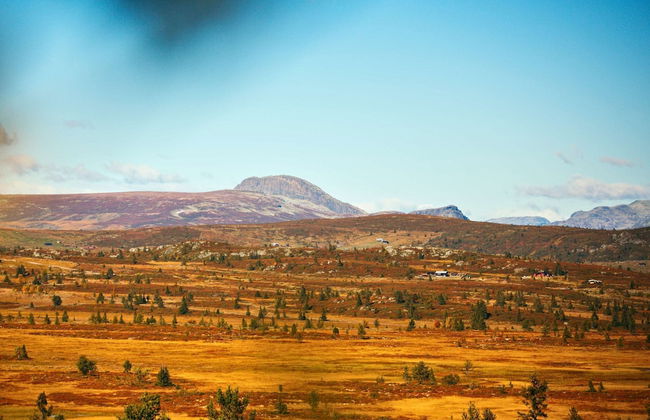 Modern Mountain Cabin - 3 Bedrooms - Sleeps 7 - Foto 37