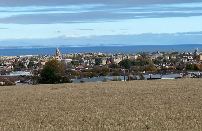 Osborne Steading - Photo 22