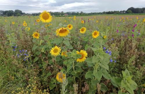 Ferienwohnung Kerstenhof - Foto 35