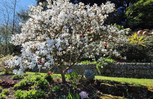 Amstadt's Birkenfels - Foto 19