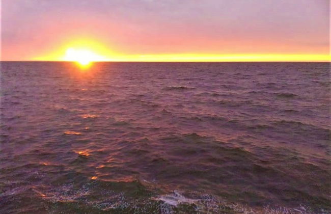 Kaeli's Caribbean Studios - Photo 65