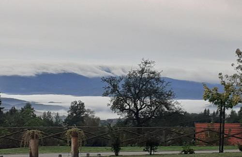 Agroturystyka Łysa Góra - Foto 63