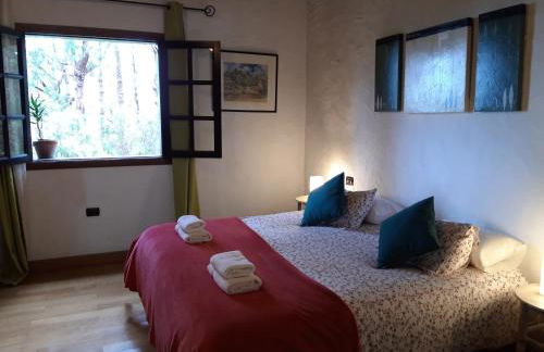 Monte frio de Tenerife - Foto 20