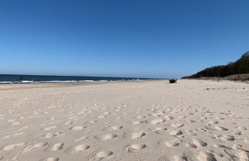 Ferienhaus Am Achterwasser - Photo 45