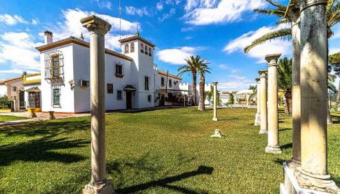 Hacienda El Corchuelo - Foto 5, Garden