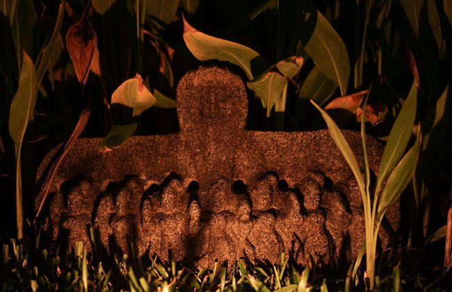 Vismaya Lake Heritage - Foto 22