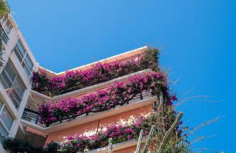 Perfect Terrace, Amazing views, Great Location - Foto 27