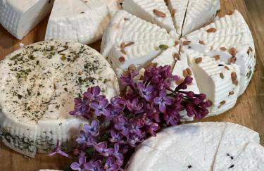 Dom na Warmii -Siedlisko Jabłonka - Foto 67