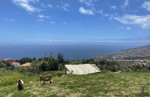 Villa da Silva (Heated Pool and Private Parking) - Foto 20