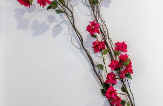 Milenial Immo Marignane - Apartment 500m Dalí Figueres - Foto 19