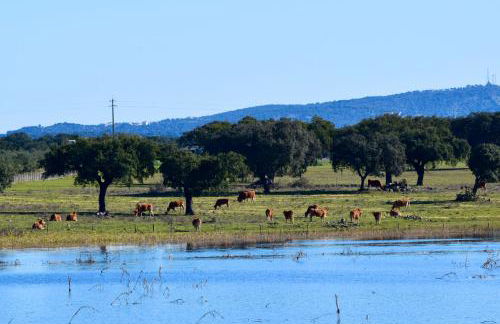 Herdade da Burquilheira Family Retreat - Foto 56