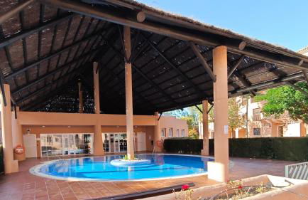 Flamenco Rose - Photo 39