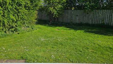 Daisy Lodge Lilac Grove 3 - Foto 5