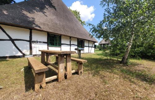 Ferienhof Schwalbennest OFC 24 - Foto 28