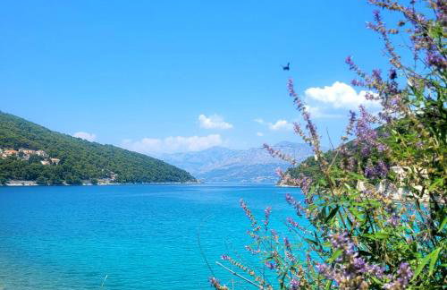 Apartment Bakarosa - Foto 35