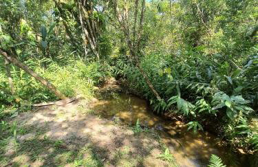 Chalé Saíra - casa simples no meio da Mata Atlântica! - Photo 2