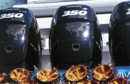 Villa Francesca - Manfredi Homes&Villas - Foto 79