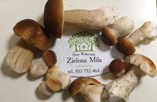 Zielona Mila Dom Wakacyjny - Foto 3