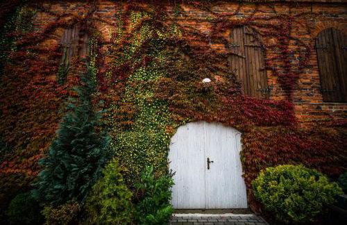 Miły Młyn - Foto 16