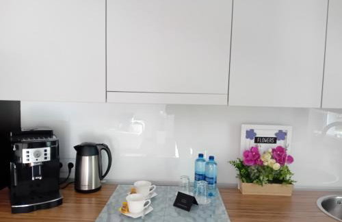 Apartament B & S - Free Garage Parking - Foto 12