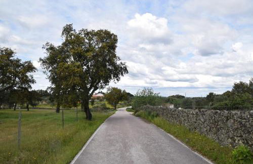 Casinha da Póvoa - Turismo de Aldeia - Foto 32